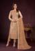 Picture of Comely Net Tan Straight Cut Salwar Kameez