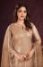 Picture of Comely Net Tan Straight Cut Salwar Kameez