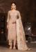 Picture of Beautiful Organza Tan Straight Cut Salwar Kameez