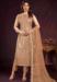 Picture of Shapely Net Tan Straight Cut Salwar Kameez