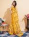 Picture of Pleasing Net Golden Rod Saree