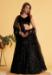 Picture of Grand Georgette & Net Black Lehenga Choli