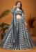 Picture of Admirable Crepe & Silk Dark Slate Grey Lehenga Choli