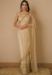 Picture of Beauteous Net Tan Saree