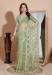 Picture of Amazing Net Dark Sea Green Saree