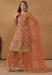 Picture of Admirable Net Sienna Straight Cut Salwar Kameez