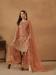 Picture of Admirable Net Sienna Straight Cut Salwar Kameez