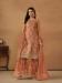 Picture of Admirable Net Sienna Straight Cut Salwar Kameez