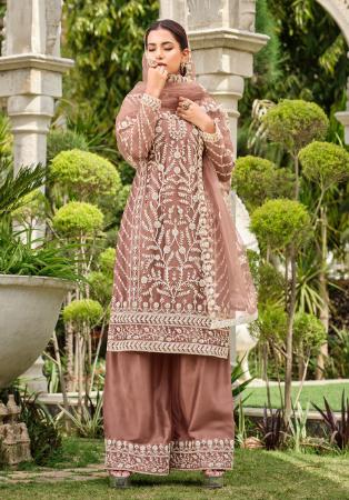 Picture of Sublime Net Rosy Brown Straight Cut Salwar Kameez