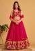 Picture of Georgette & Organza Light Coral Lehenga Choli