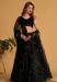 Picture of Taking Georgette & Organza Black Lehenga Choli