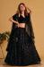 Picture of Taking Georgette & Organza Black Lehenga Choli