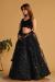 Picture of Taking Georgette & Organza Black Lehenga Choli