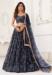 Picture of Sightly Net Black Lehenga Choli