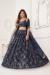 Picture of Sightly Net Black Lehenga Choli