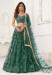 Picture of Beautiful Net Sea Green Lehenga Choli