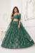 Picture of Beautiful Net Sea Green Lehenga Choli