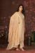 Picture of Chiffon Burly Wood Straight Cut Salwar Kameez