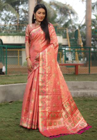 Picture of Sightly Organza Dark Salmon Saree