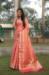 Picture of Sightly Organza Dark Salmon Saree