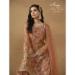 Picture of Comely Net Sienna Straight Cut Salwar Kameez