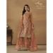 Picture of Comely Net Sienna Straight Cut Salwar Kameez