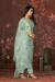 Picture of Organza Light Steel Blue Straight Cut Salwar Kameez