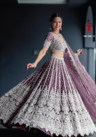 Picture of Beautiful Net Grey Lehenga Choli