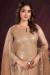 Picture of Shapely Net Tan Straight Cut Salwar Kameez