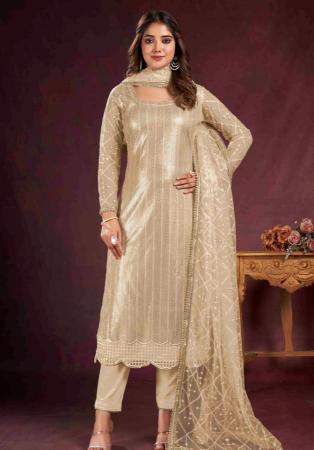 Picture of Beautiful Net Beige Straight Cut Salwar Kameez