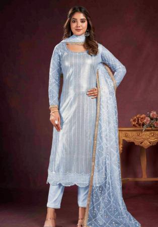 Picture of Net Light Steel Blue Straight Cut Salwar Kameez