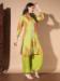 Picture of Admirable Chiffon Spring Green Kurtis & Tunic