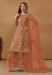 Picture of Net & Satin Sienna Straight Cut Salwar Kameez