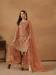 Picture of Net & Satin Sienna Straight Cut Salwar Kameez