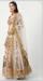 Picture of Sightly Net Beige Lehenga Choli