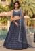 Picture of Sublime Georgette Dark Slate Grey Lehenga Choli