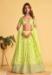 Picture of Ideal Georgette & Net Burly Wood Lehenga Choli