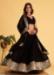 Picture of Appealing Georgette & Net Black Lehenga Choli