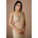 Picture of Beauteous Net Tan Saree