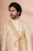 Picture of Elegant Chiffon Tan Kurtas