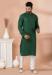 Picture of Radiant Georgette Sea Green Kurtas