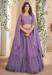 Picture of Ideal Georgette Plum Lehenga Choli