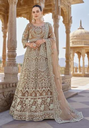 Picture of Taking Net Rosy Brown Anarkali Salwar Kameez