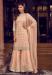 Picture of Georgette & Net Tan Straight Cut Salwar Kameez