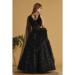 Picture of Georgette & Net & Organza Black Lehenga Choli