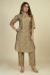 Picture of Splendid Chiffon Dark Khaki Kurtis & Tunic