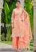 Picture of Stunning Net Coral Straight Cut Salwar Kameez