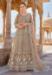 Picture of Superb Net Indian Red Anarkali Salwar Kameez