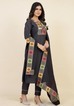 Picture of Chiffon & Silk Dim Gray Readymade Salwar Kameez