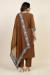 Picture of Chiffon & Silk Sienna Readymade Salwar Kameez